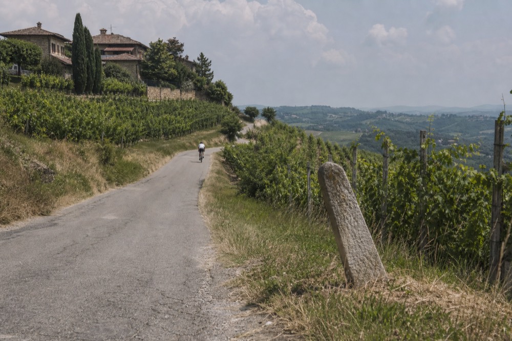 Cyclist on a quiet vineyard road in the Langhe.