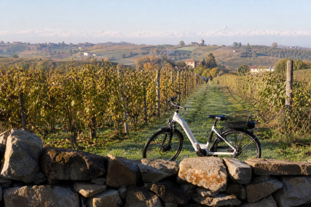 E-bike parked beside a vineyard with the Alps in the distance.