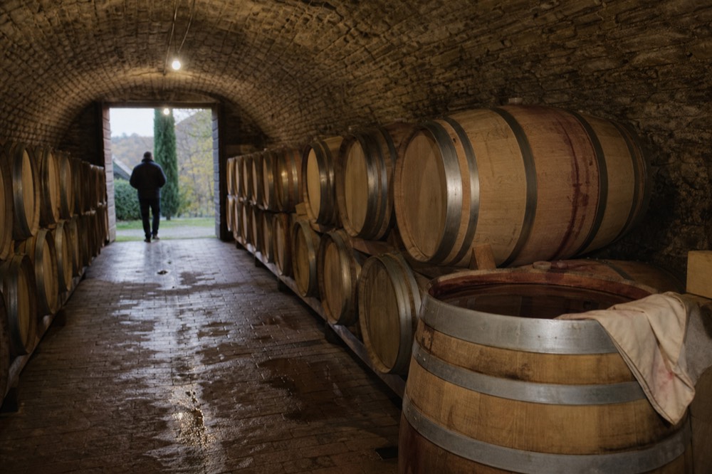A cellar door with oak barrels stacked in a dim vaulted room.