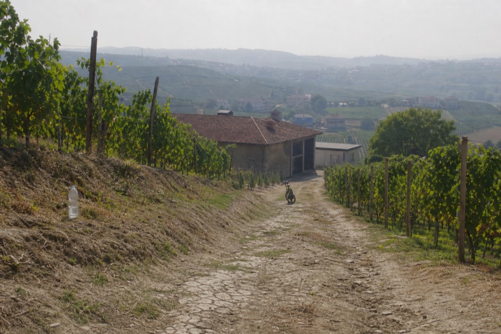 An e-bike parked on a dirt track between vineyard rows with a cellar building in the distance.
