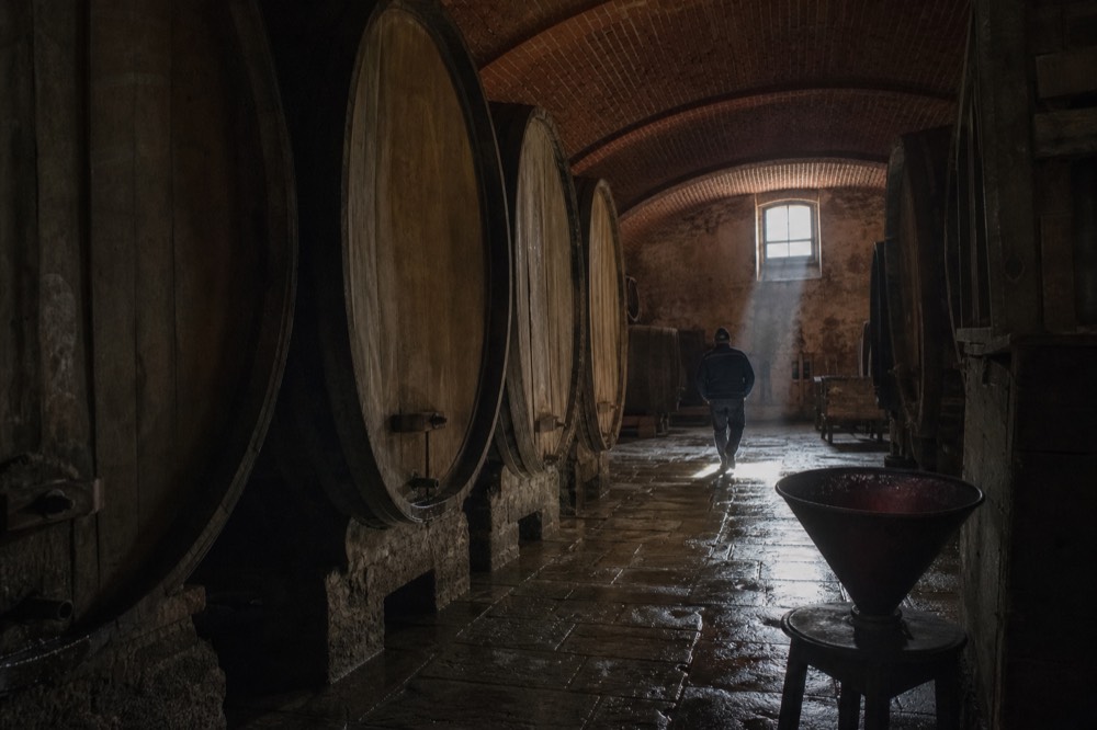 Old oak casks in a Langhe cellar, dim light.