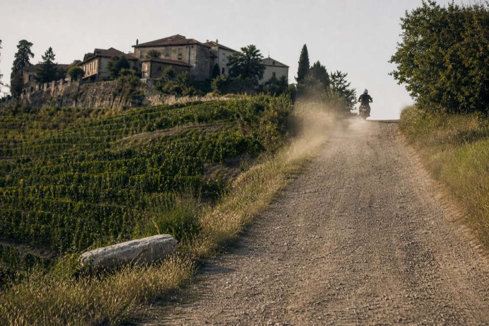 Cyclist on a quiet road between terraced vineyards on a Langhe hillside.