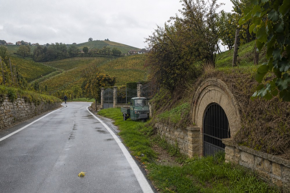 A quiet road winding through Piedmont vineyards.