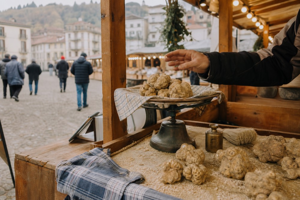 Alba truffle fair market stall with white truffles on display.