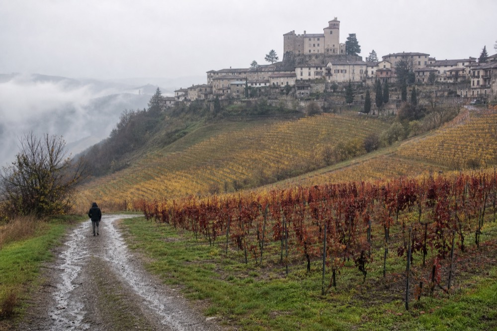 Vineyard rows in autumn colour on a Langhe hillside with a village on the ridge.