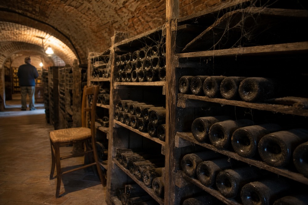 A row of Barolo bottles resting in a dim oak-lined cellar.