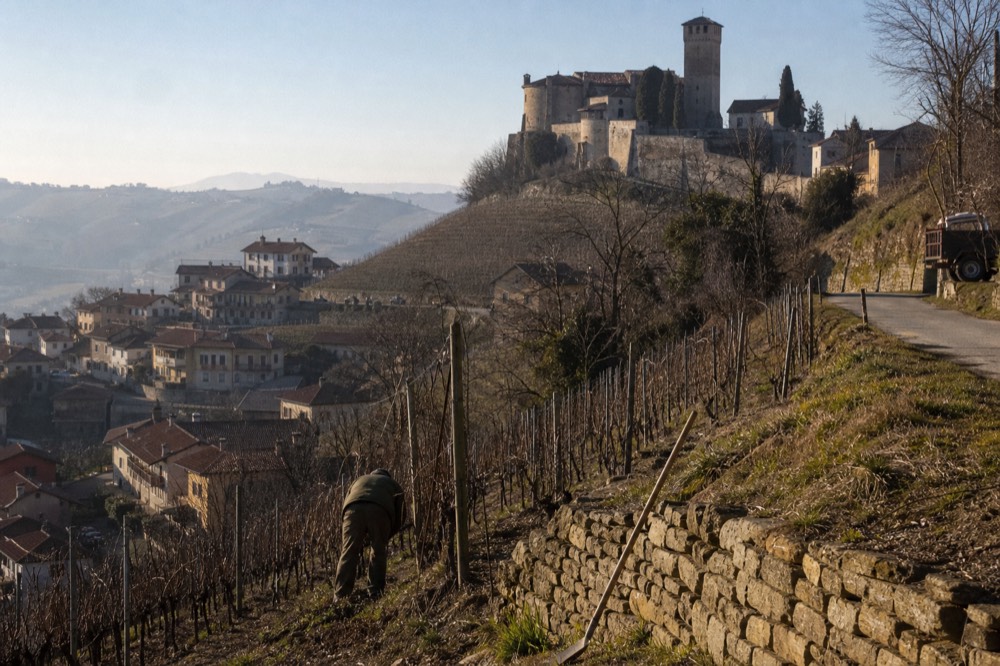 A farmer working a terraced Nebbiolo row above Serralunga d'Alba.