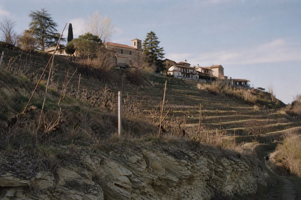 Vineyard terraces rising in steps toward a hilltop hamlet.