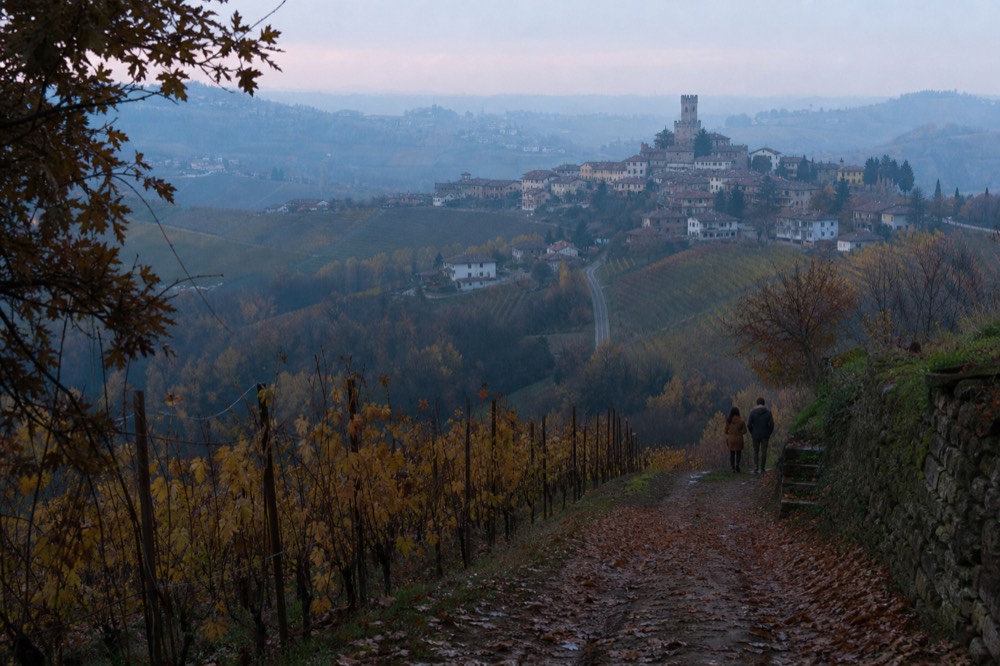 Autumn vineyard rows turning yellow and red above a Langhe village.