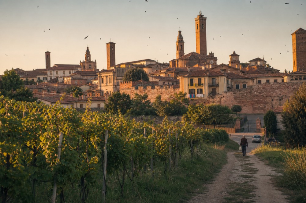 Alba's brick towers and rooftops seen across vineyards on the town's edge at golden hour.