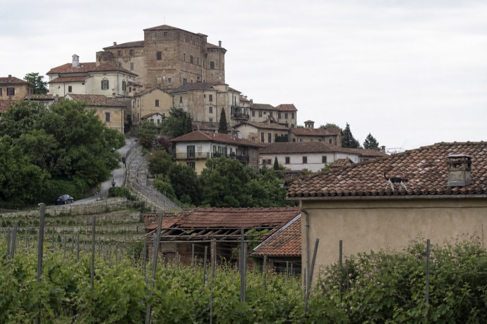 Barolo village rooftops surrounded by terraced vineyards.