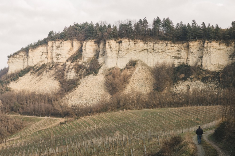 Wooded Roero ridge with erosion cliffs above vineyards.