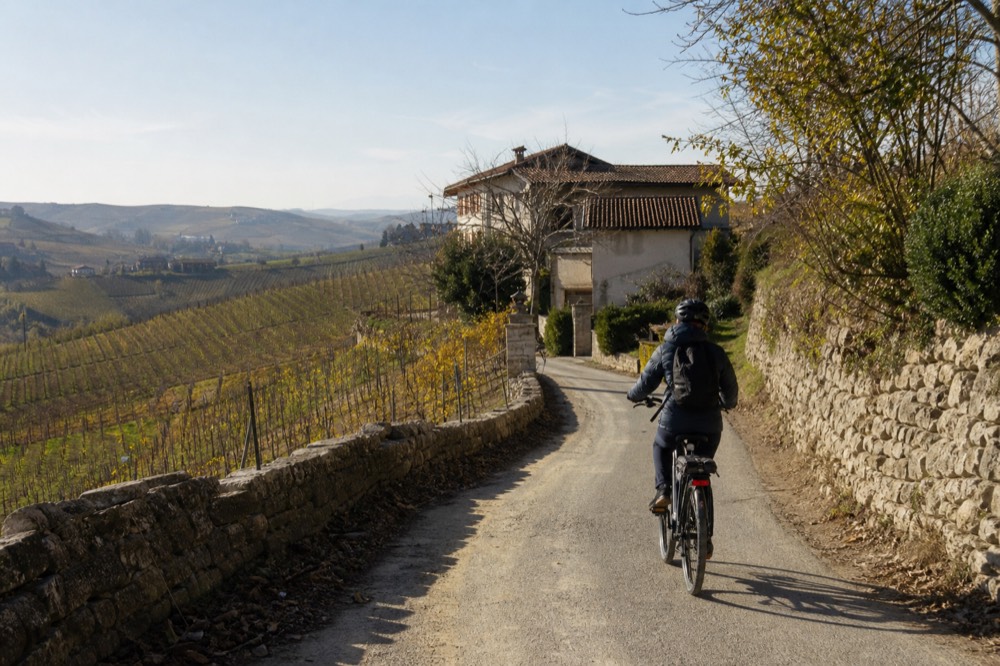 Cyclist on a Langhe ridge road above vineyards near Alba.