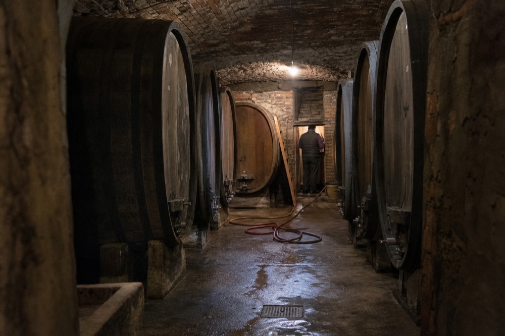 Barrel cellar with large oak casks in a Piedmont winery.