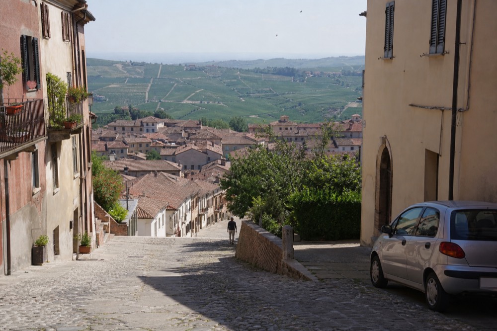 Village rooftops and vineyard slopes in the Barolo hills at midday.
